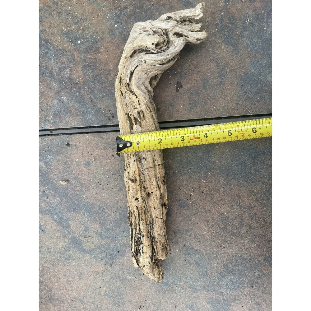 Natural Driftwood for Plants Terrarium Taxidermy Art Projects - Picture 4 of 4